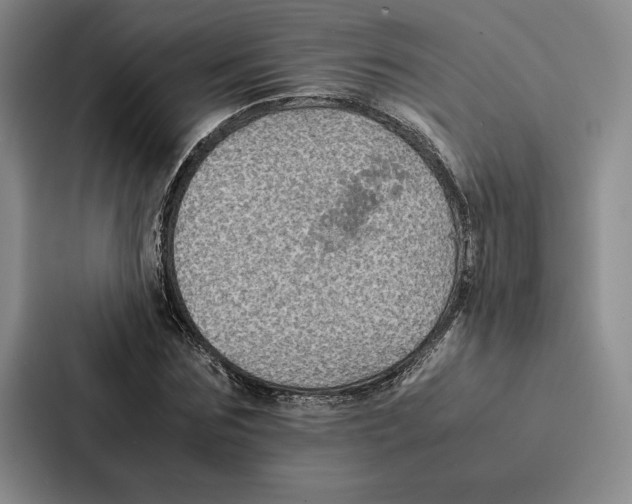 X0000086890875200705141620