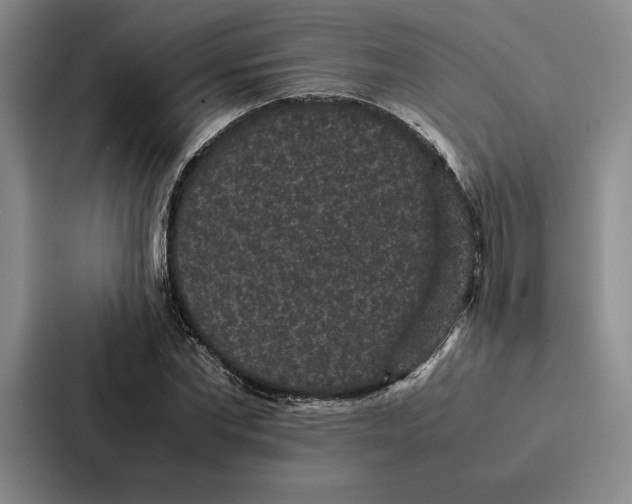 X0000086890877200705141620