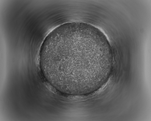 X0000086890879200705141620