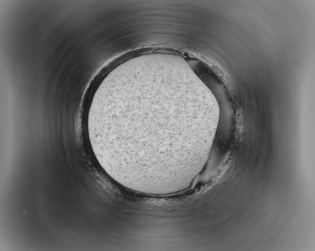 X0000086890880200705141620