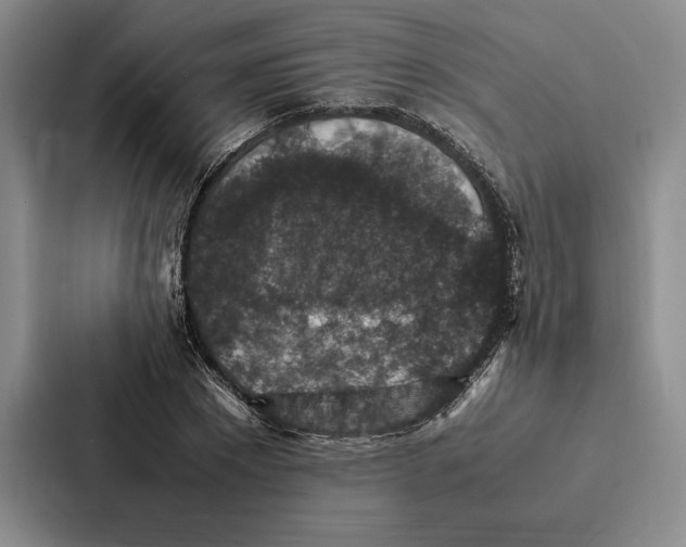 X0000086890881200705141620