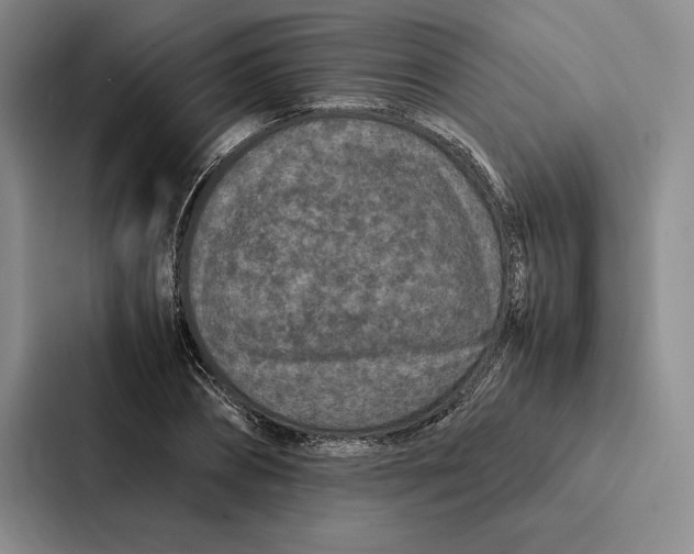 X0000086890882200705141620