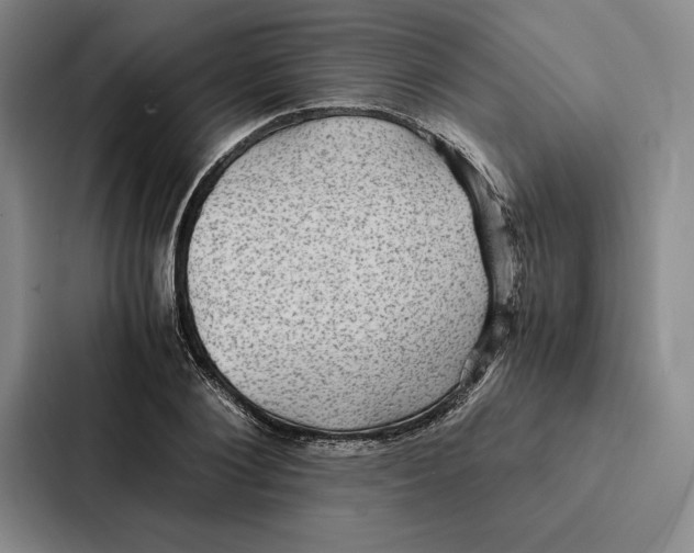 X0000086890884200705141620