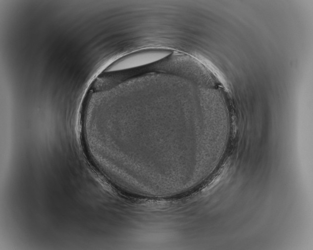 X0000086890885200705141620