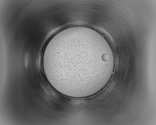 X0000086890886200705141620