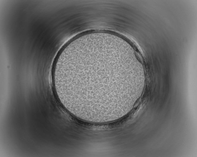 X0000086890887200705141620