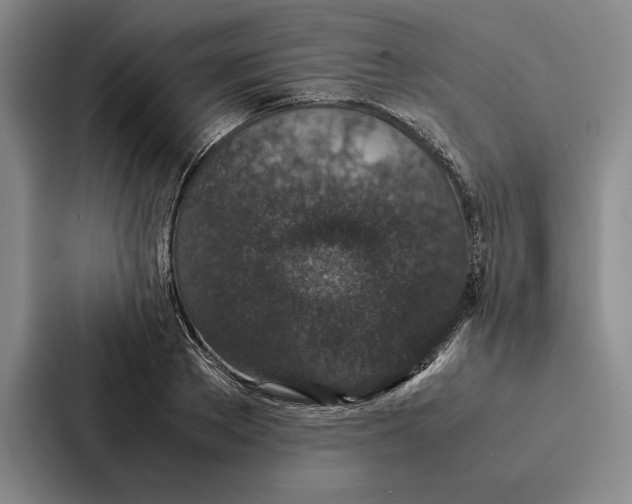 X0000086890889200705141620