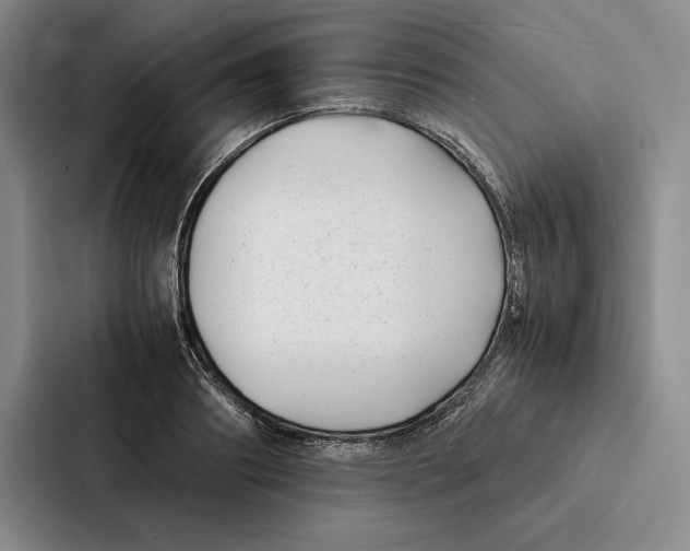 X0000086890890200705141620