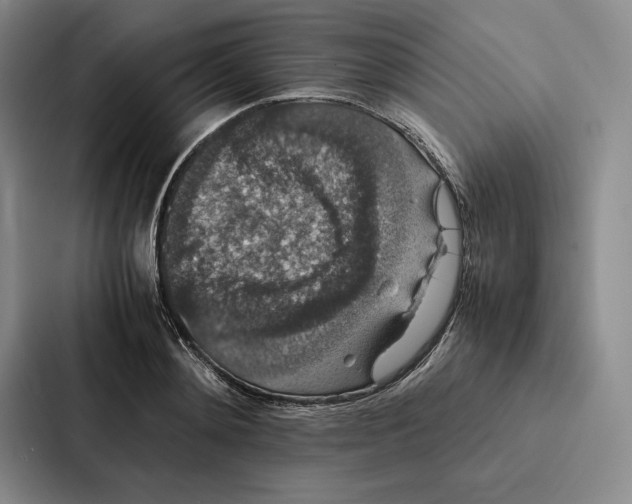 X0000086890892200705141620