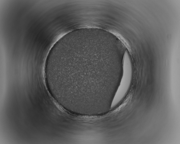 X0000086890893200705141620