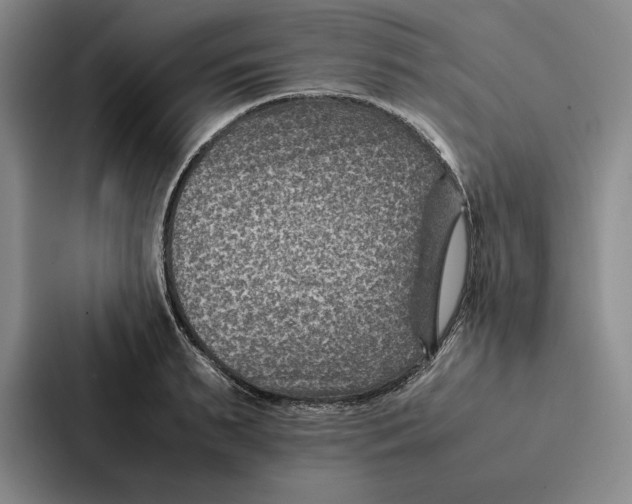 X0000086890895200705141620