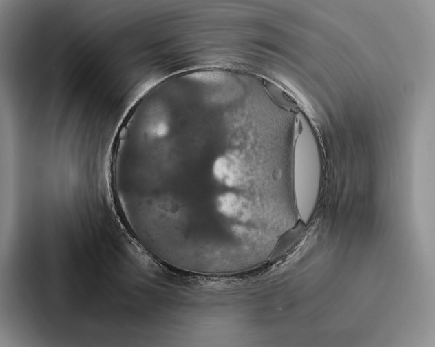 X0000086890899200705141620