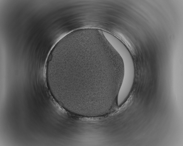 X0000086890900200705141620