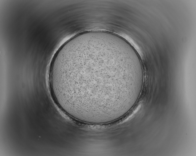 X0000086890901200705141620