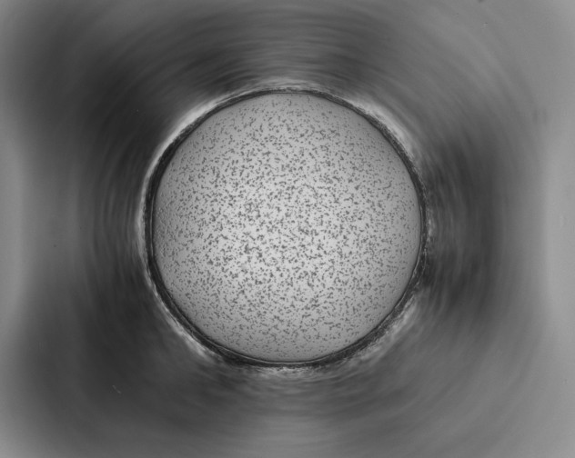 X0000086890902200705141620