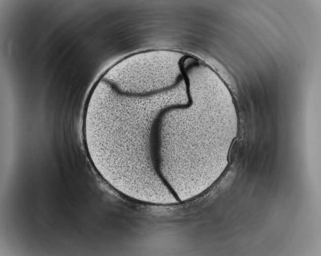 X0000086890904200705141620