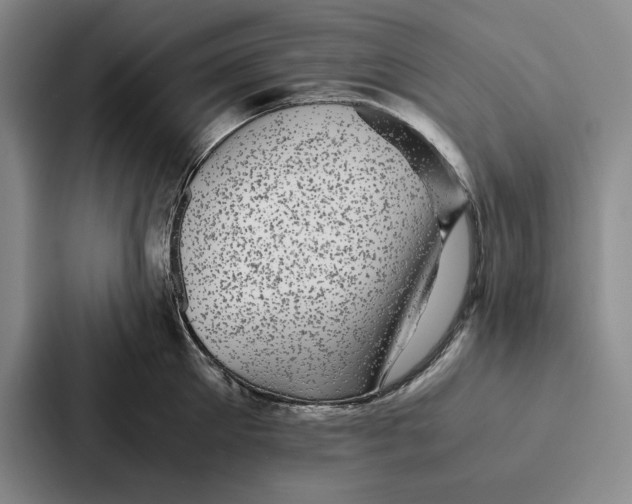 X0000086890905200705141620