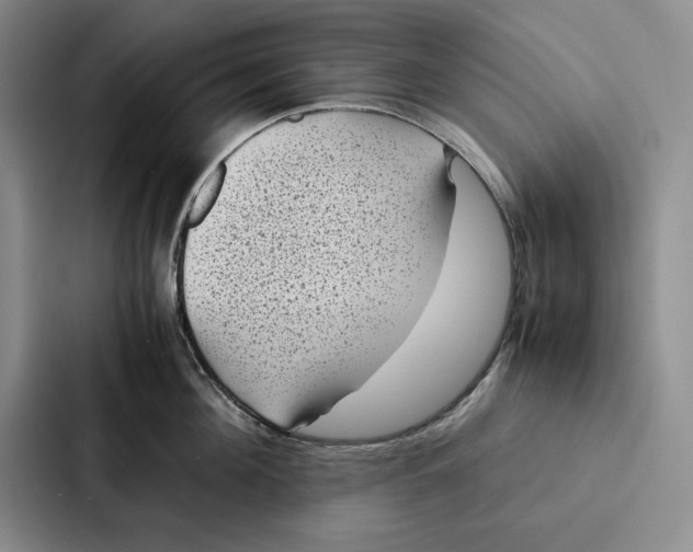 X0000086890908200705141620