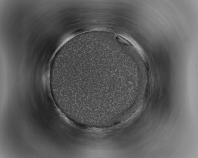 X0000086890910200705141620