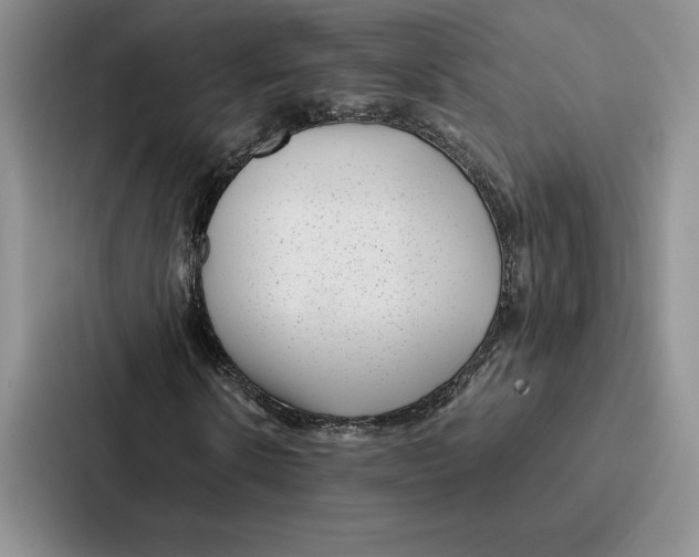 X0000086890914200705141619