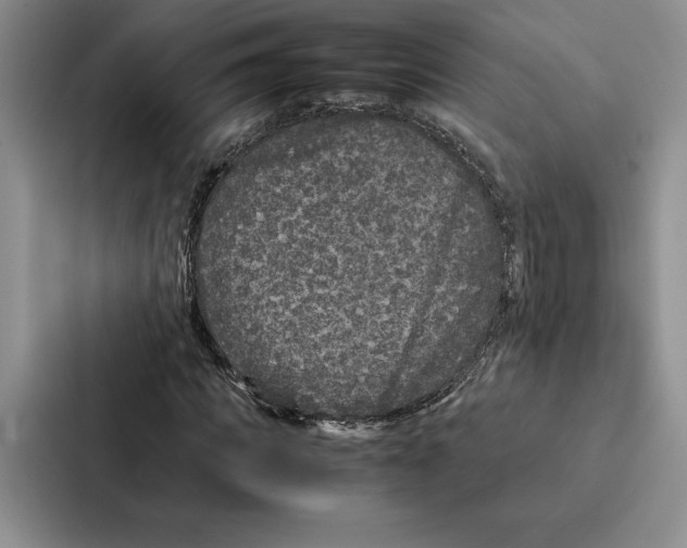 X0000086890917200705141619