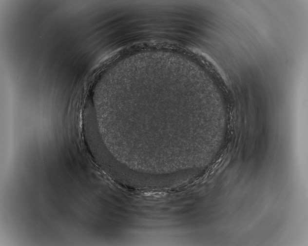 X0000086890919200705141619