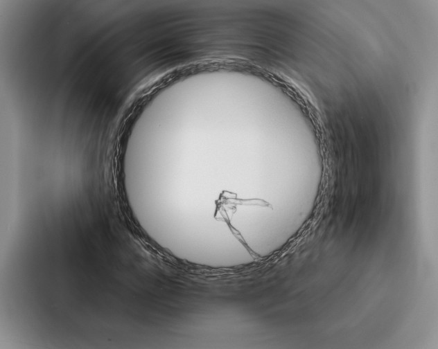 X0000086890920200705141619