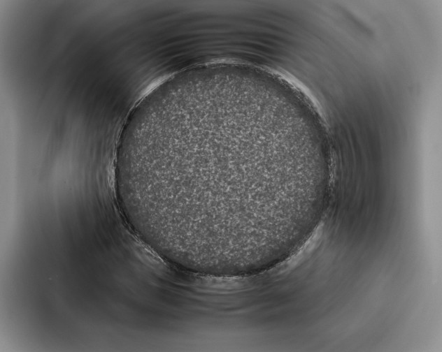 X0000086890921200705141619