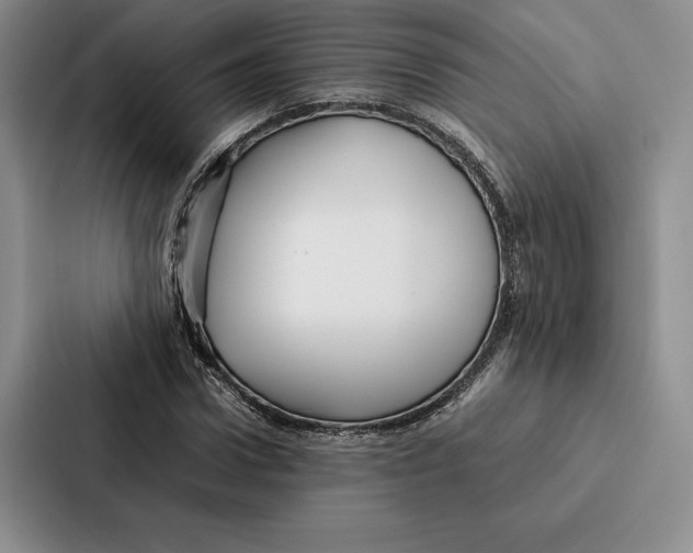 X0000086890922200705141619