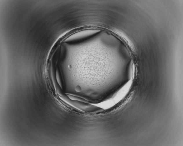 X0000086890924200705141619