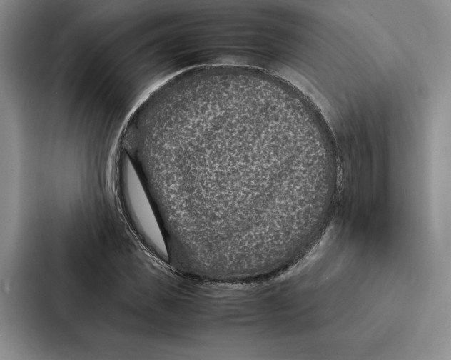 X0000086890925200705141619