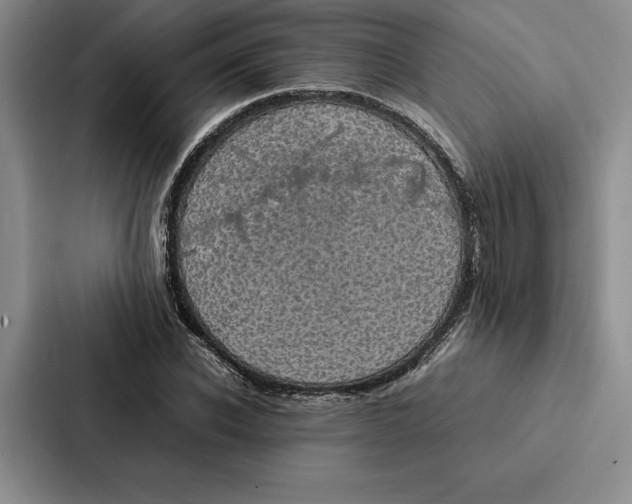 X0000086890926200705141619