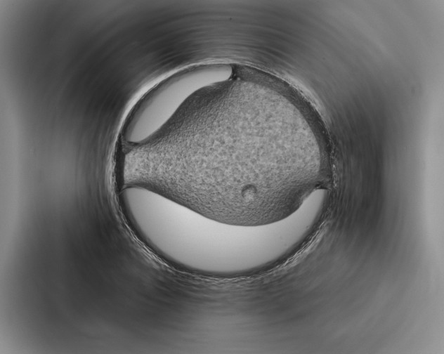 X0000086890928200705141619