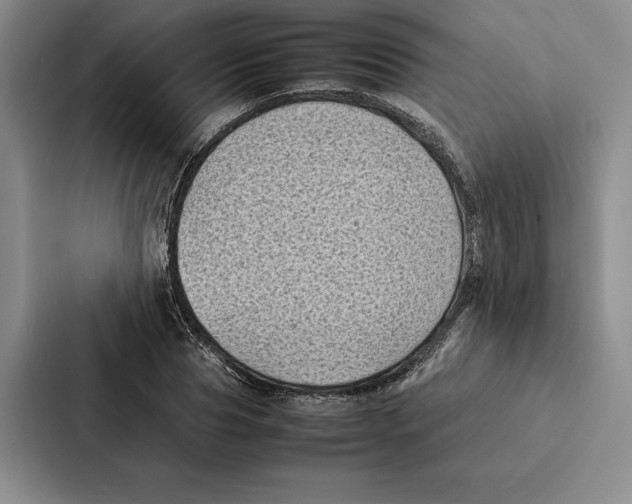 X0000086890929200705141620