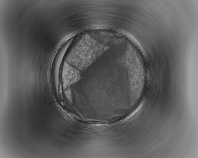 X0000086890930200705141620