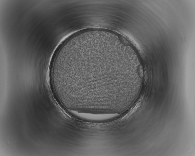 X0000086890932200705141620