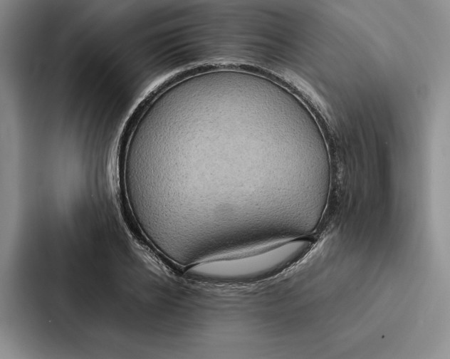 X0000086890934200705141620