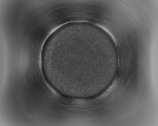 X0000086890935200705141620