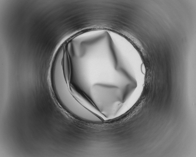 X0000086890936200705141620