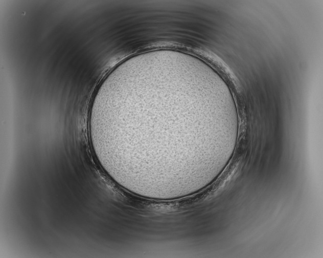 X0000086890937200705141620