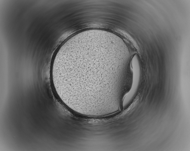 X0000086890938200705141620