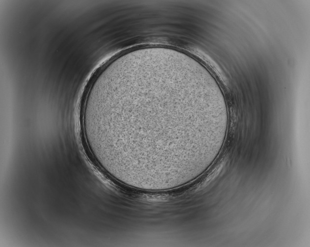 X0000086890939200705141620