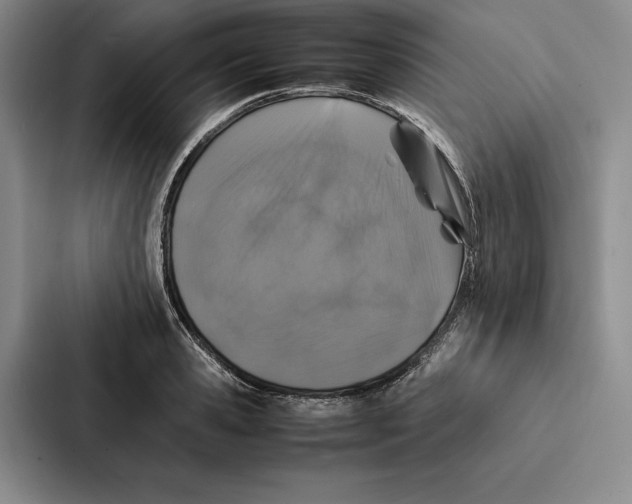 X0000086890941200705141620