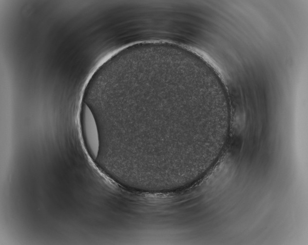 X0000086890943200705141620