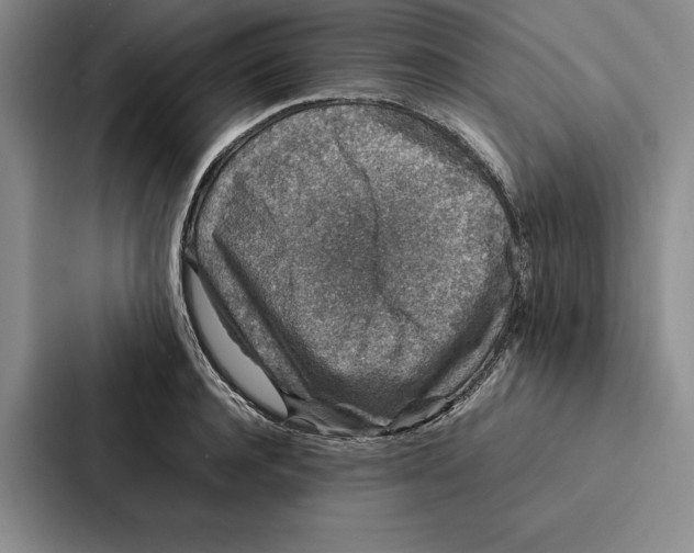 X0000086890944200705141620