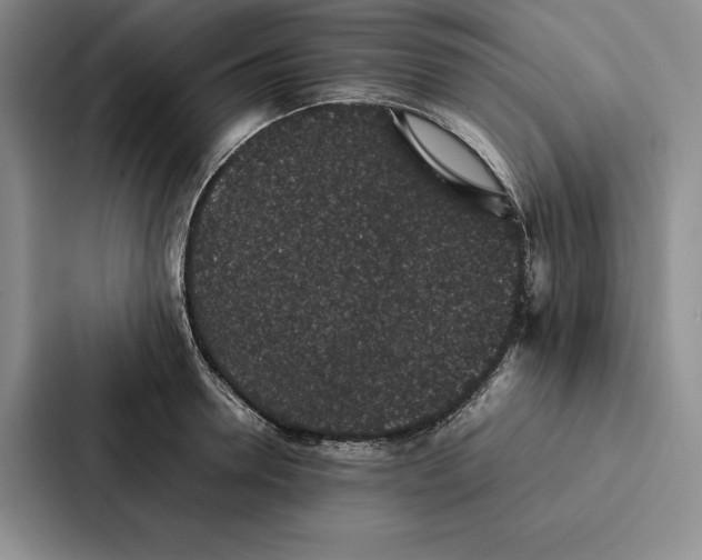 X0000086890946200705141620