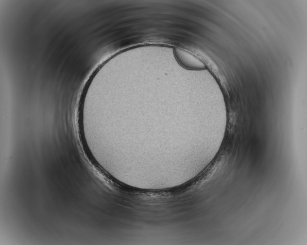 X0000086890947200705141620