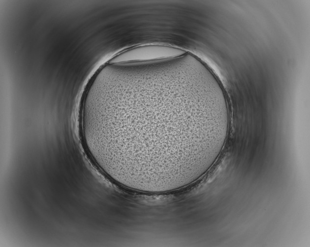 X0000086890949200705141620