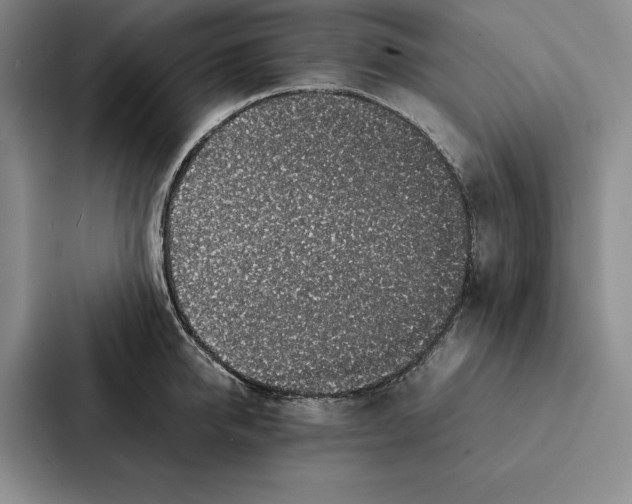 X0000086890950200705141620