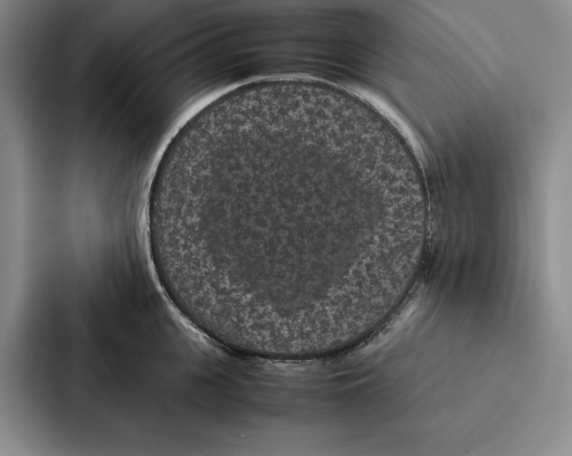 X0000086890951200705141620